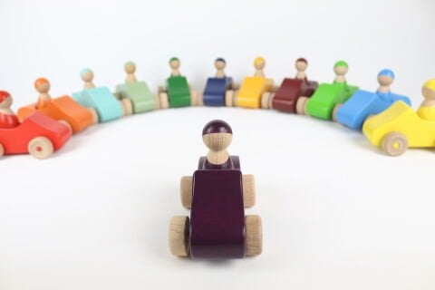 12 Lİ WALDORF GÖKKUŞAĞI ARABA SETİ